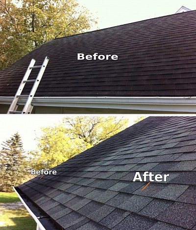 roof cleaning in lexington michigan | Blue Water Soft Wash