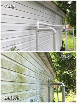 Siding cleaning in Lexington Michigan 48450