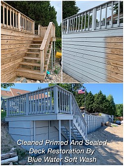 deck staining in port sanilac michigan